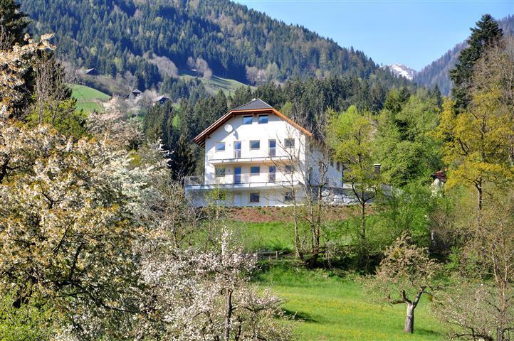 Haus Pflaum Apartment Dellach im Drautal Exterior foto